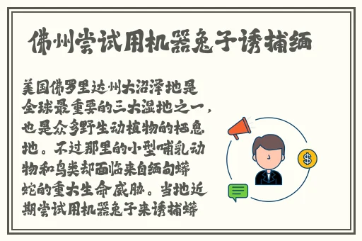 哥伦布的窑洞1—4